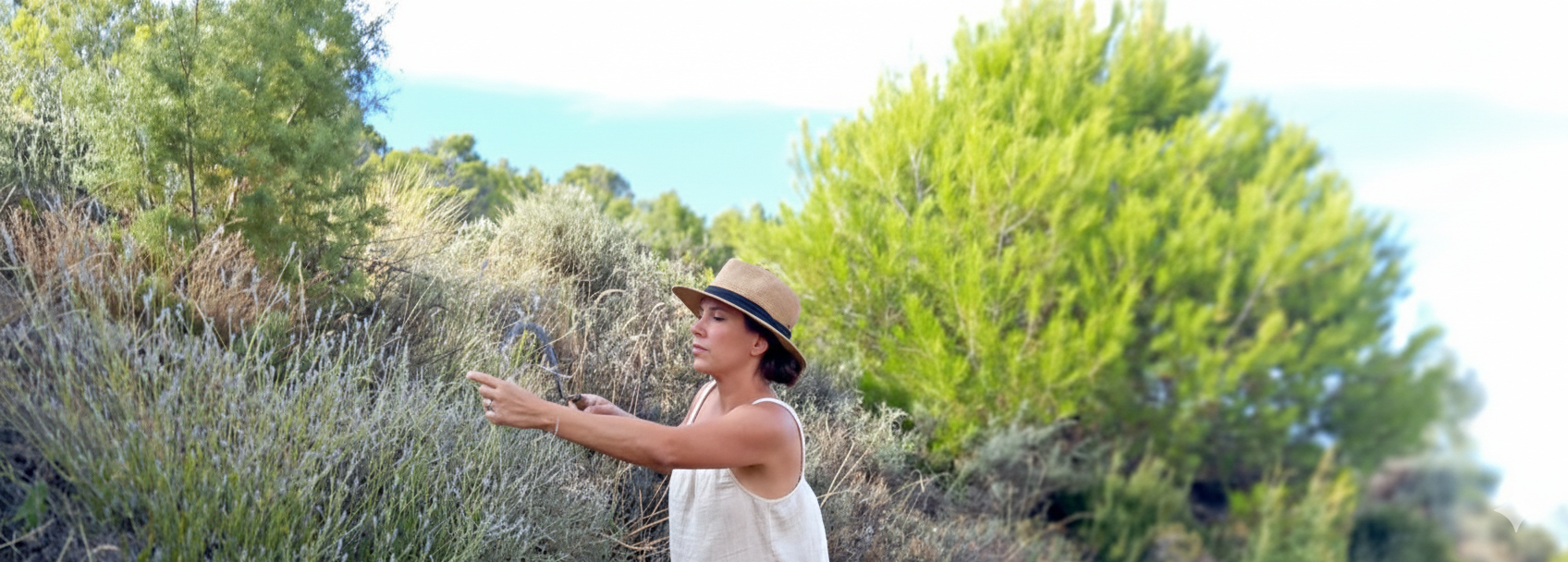 De la República Checa a la España vaciada: la botánica que revive Arandilla del Arroyo