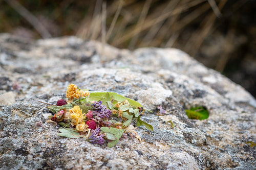 Mezcla de plantas silvestres infusión relajante Botánica Guadiela