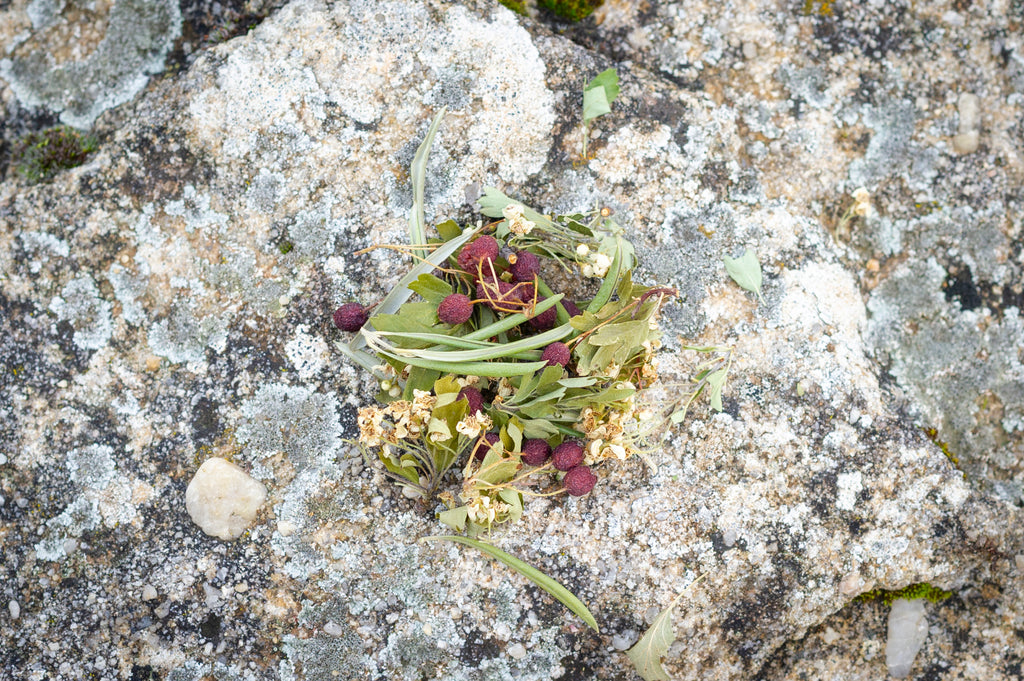 Mezcla hierbas silvestres infusión tensión alta